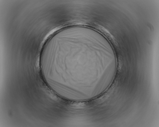 X0000113341174200910131212