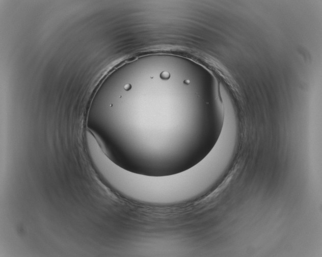X0000113341177200910131212