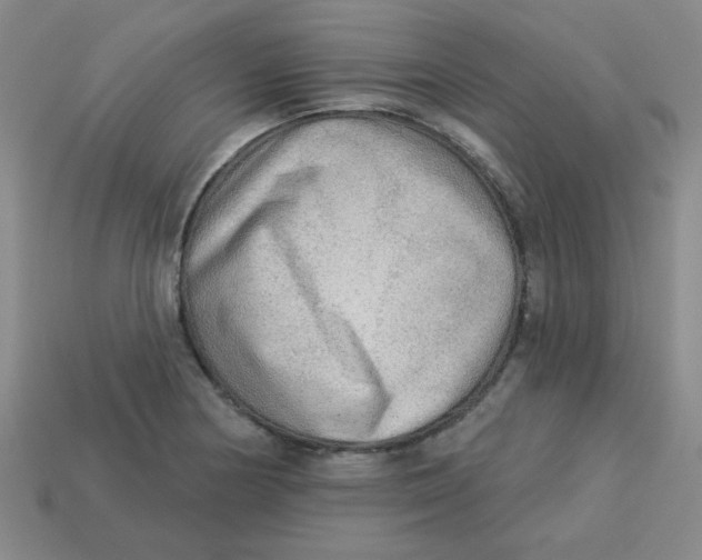X0000113341178200910131212