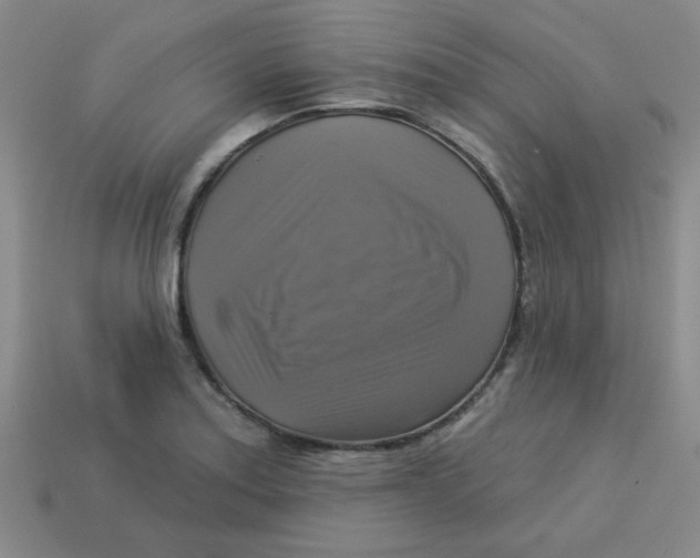 X0000113341179200910131212