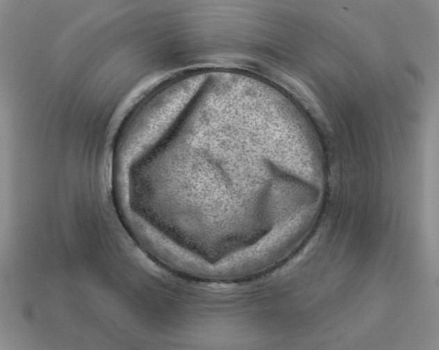 X0000113341180200910131212
