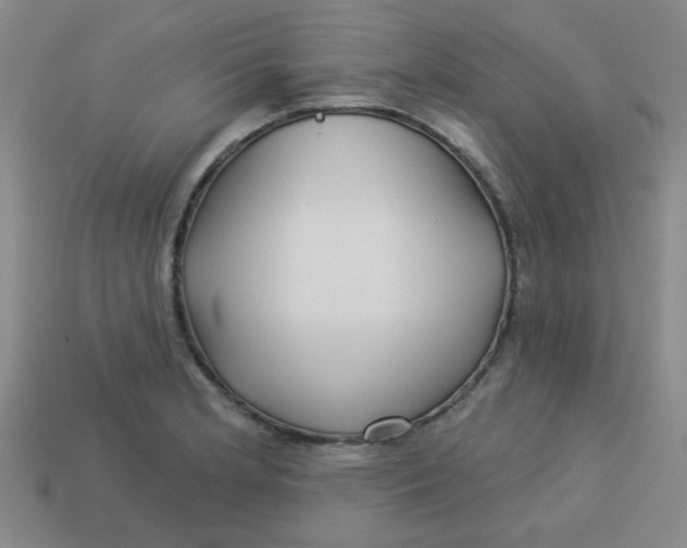 X0000113341181200910131212
