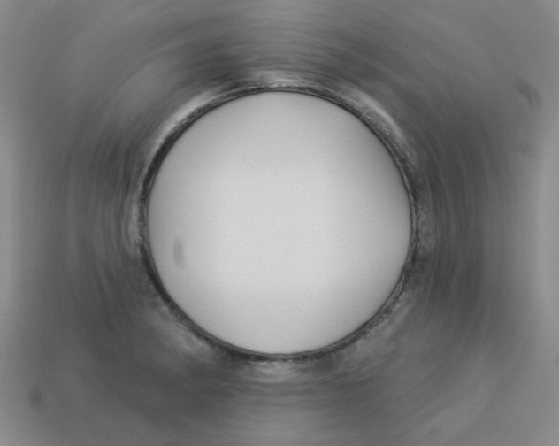 X0000113341182200910131212