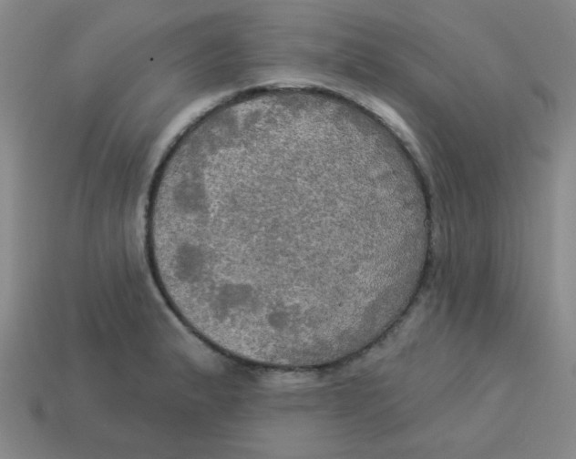 X0000113341183200910131212