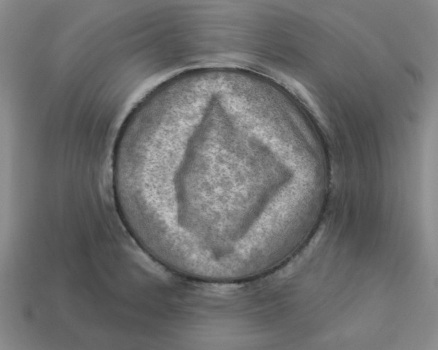 X0000113341184200910131212