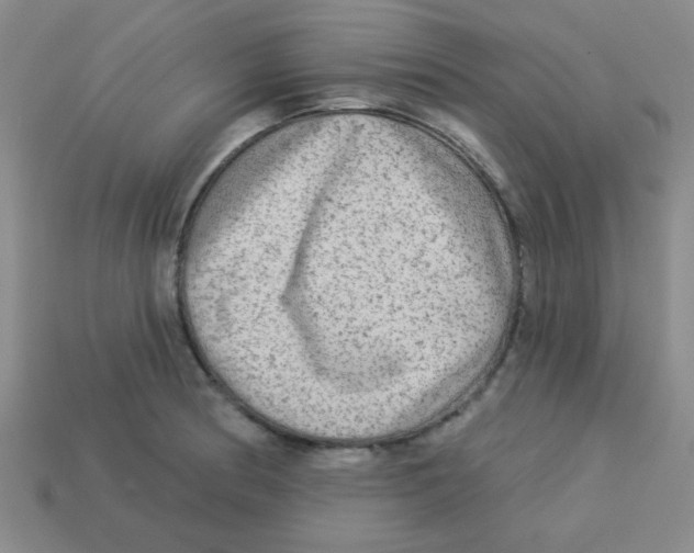 X0000113341186200910131212
