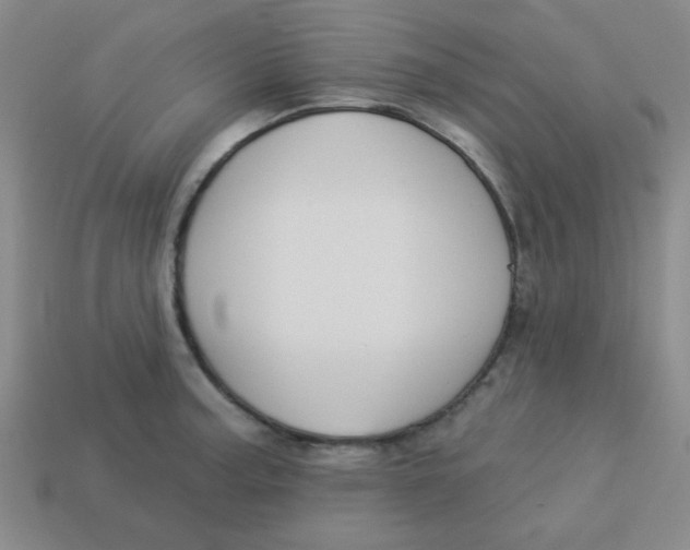 X0000113341187200910131212