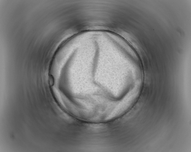 X0000113341189200910131212