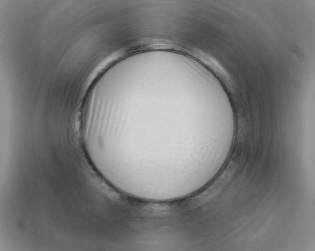 X0000113341190200910131212