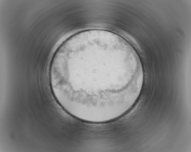 X0000113341192200910131212