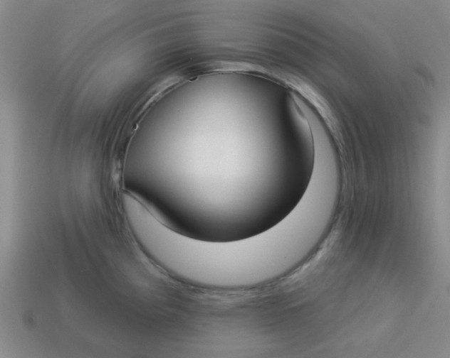 X0000113341193200910131212