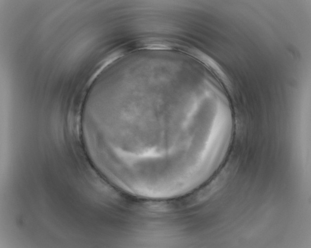 X0000113341194200910131212