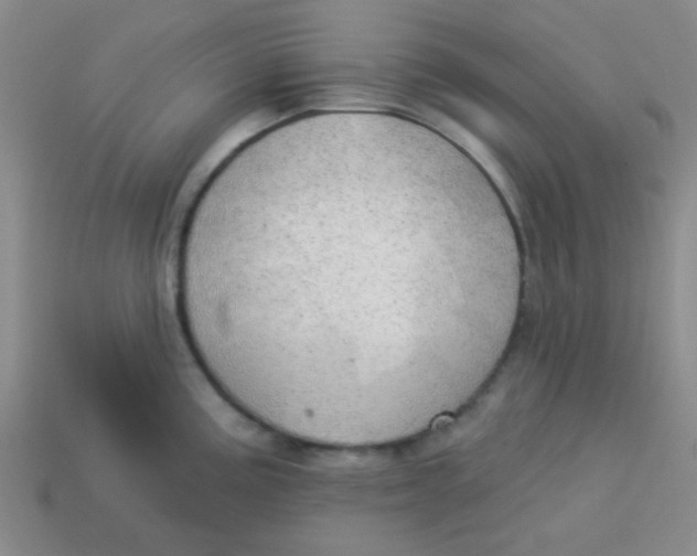 X0000113341195200910131212