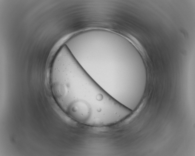 X0000113341196200910131212