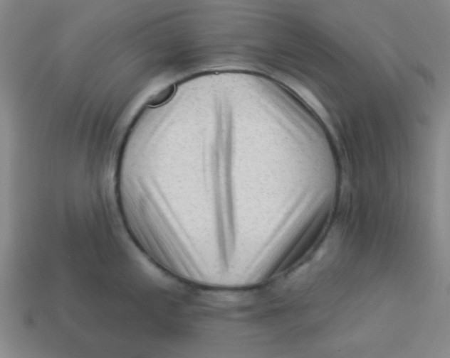 X0000113341197200910131212