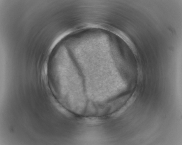 X0000113341198200910131212