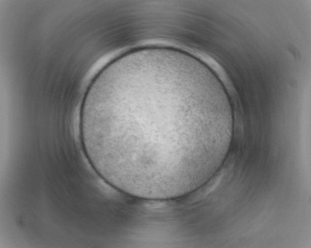 X0000113341199200910131212