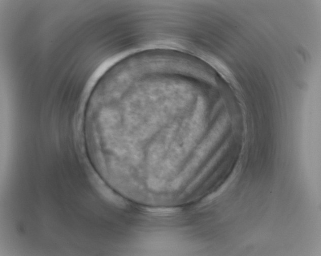 X0000113341200200910131212
