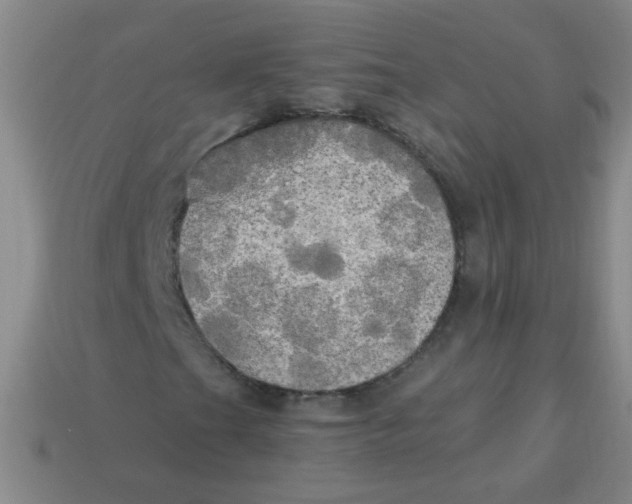 X0000113341201200910131211