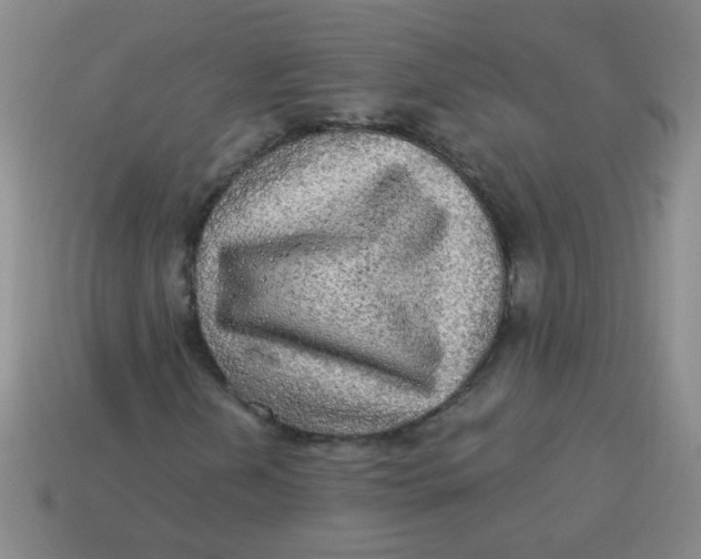 X0000113341202200910131211