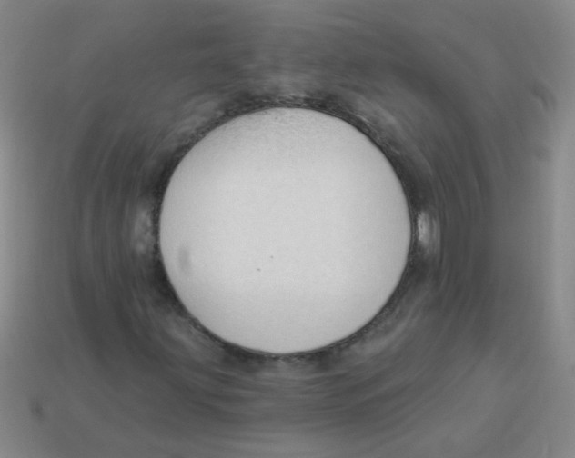 X0000113341203200910131211