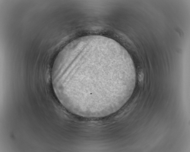 X0000113341204200910131211