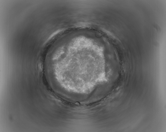 X0000113341206200910131211