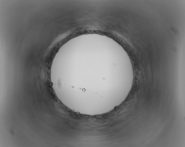 X0000113341207200910131211
