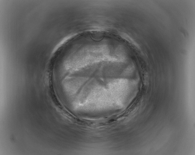 X0000113341208200910131211