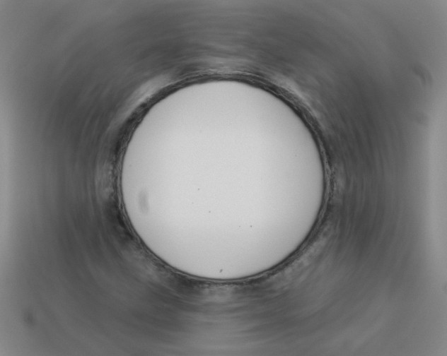 X0000113341211200910131211