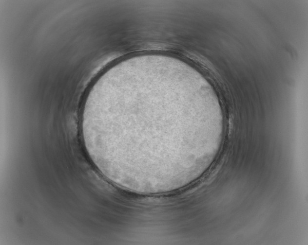 X0000113341212200910131211
