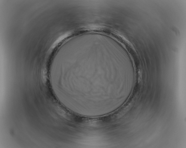 X0000113341213200910131211