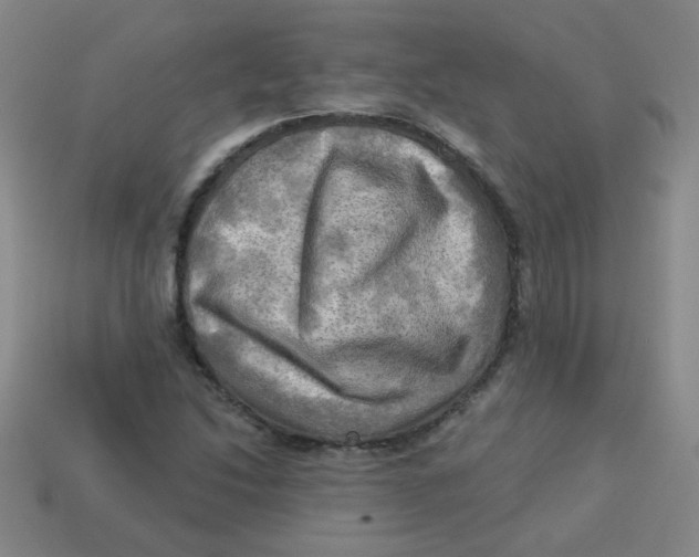 X0000113341214200910131211