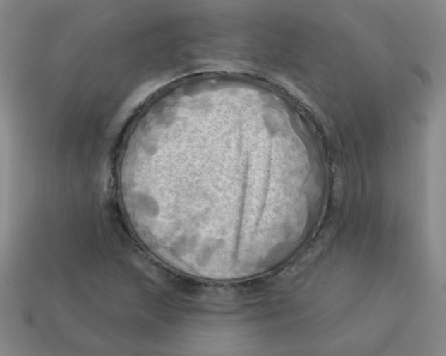 X0000113341215200910131211
