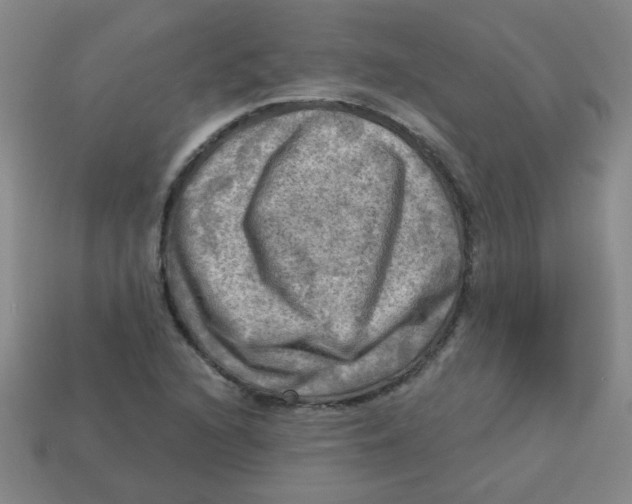 X0000113341216200910131211
