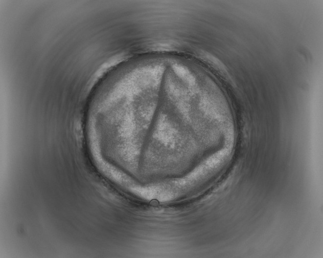 X0000113341218200910131211