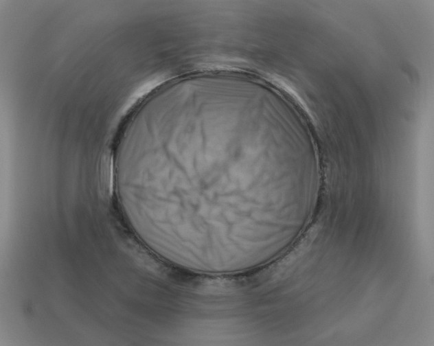 X0000113341219200910131211