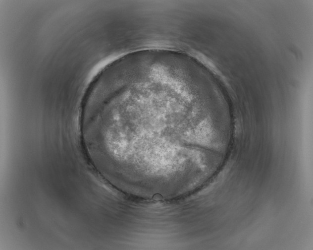 X0000113341222200910131211