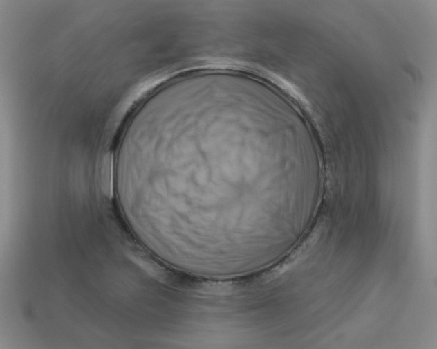 X0000113341223200910131211