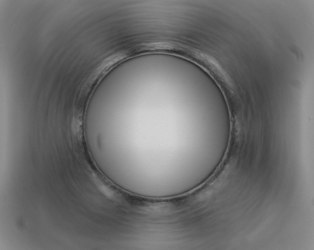 X0000113341225200910131211