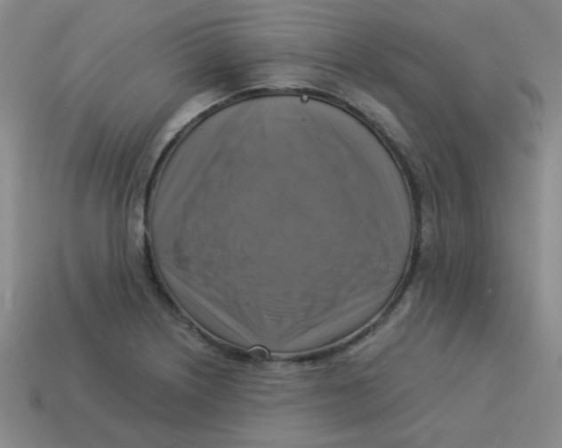 X0000113341226200910131211