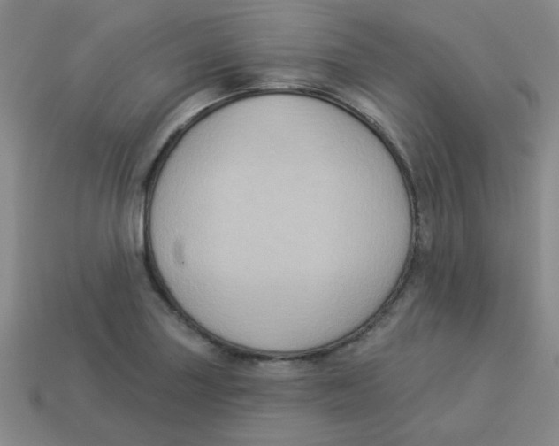 X0000113341227200910131211