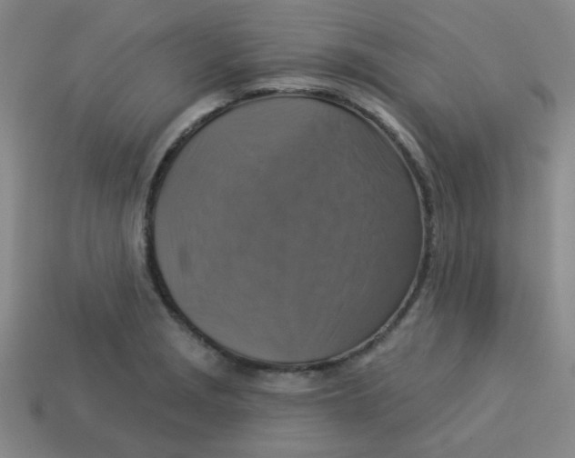 X0000113341229200910131211