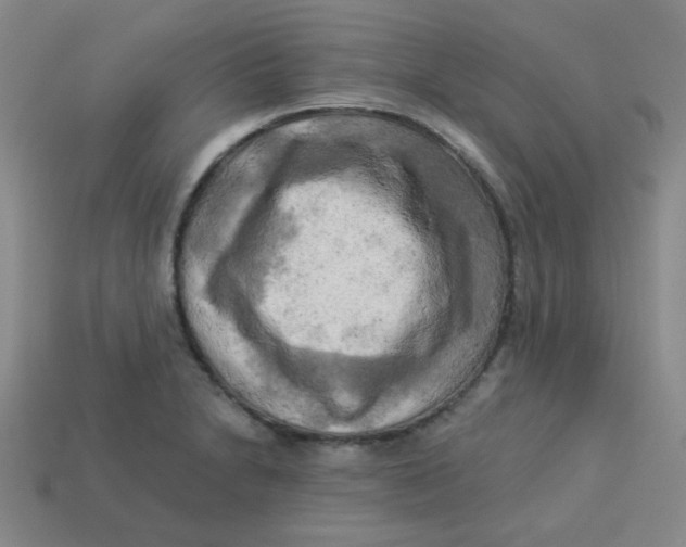 X0000113341230200910131211