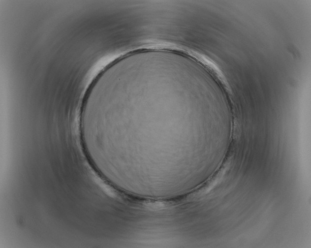 X0000113341231200910131211