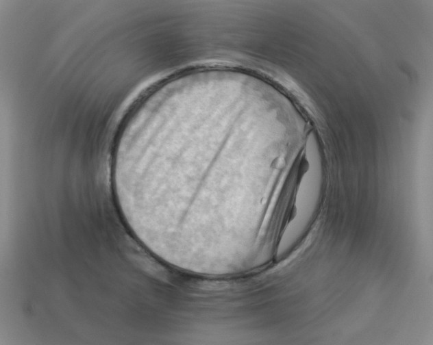 X0000113341232200910131211