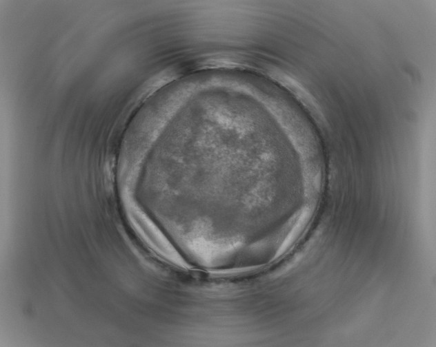 X0000113341233200910131211