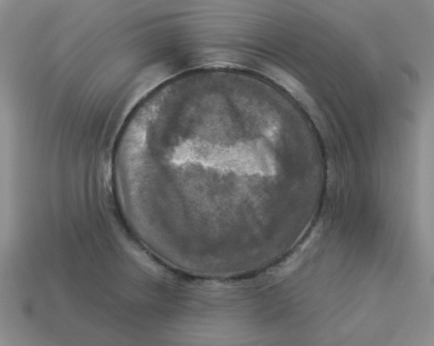 X0000113341234200910131211