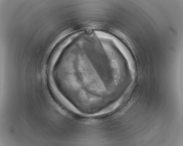 X0000113341235200910131211