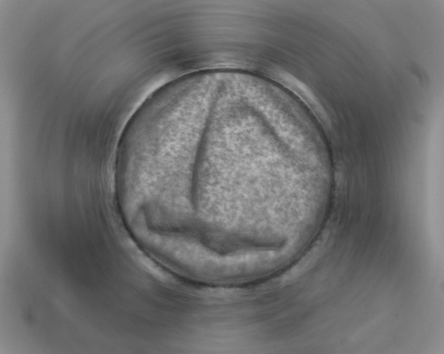 X0000113341236200910131211